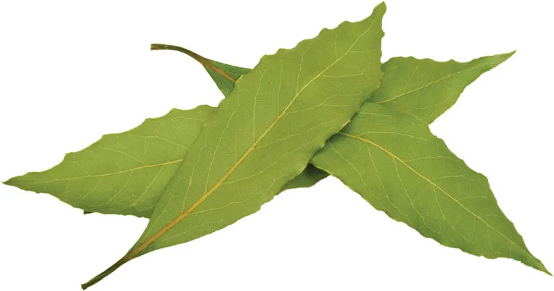 Bay Leaves fresh per kg