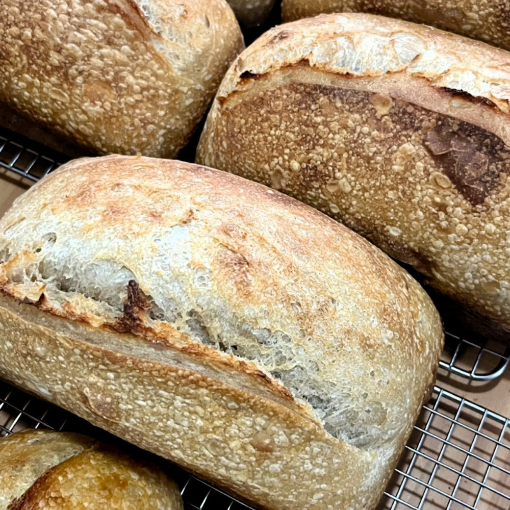 Bread Sourdough