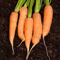 Carrots per kg