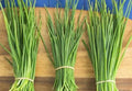 Chives (Garlic)