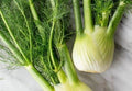 Fennel Bulb per kg