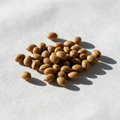 Gooseberry seeds ORGANIC