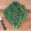 Kale Curly per kg