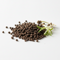 Leek seeds ORGANIC