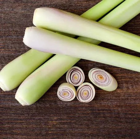 Lemon Grass 100g