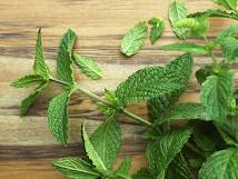 Mint fresh DEMETER 50g
