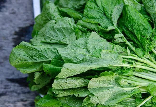 Mustard leaf DEMETER