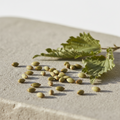 Nettle seeds ORGANIC