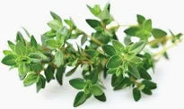Origanum 50g