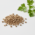 Parsley seed organic