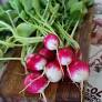 Radishes Exotic per kg