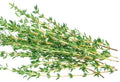 Thyme fresh 50g