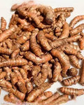 Turmeric fresh 100g