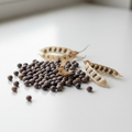 Vetch seeds ORGANIC